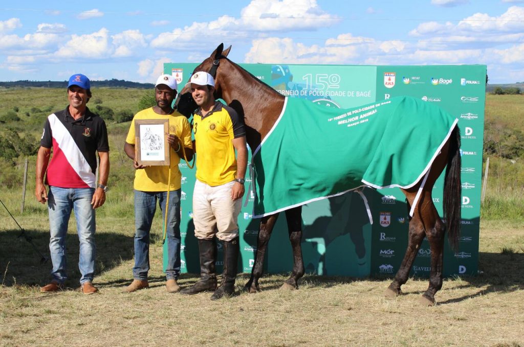 Cavalo Ramon, jogado por Guiga Lins e eleito o melhor animal da final (crédito - Sergio Borba)